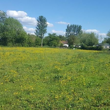 1 Bed In Taunton 75135 Villa Isle Brewers Kültér fotó